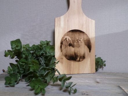 borrelplank eigen foto - Afbeelding 2