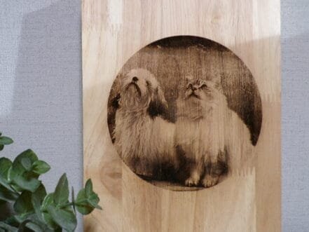 borrelplank eigen foto - Afbeelding 3