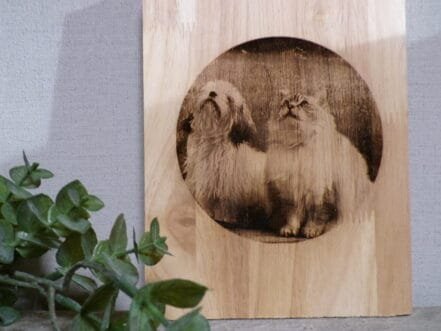 borrelplank eigen foto - Afbeelding 4